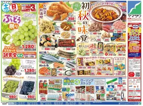 あなたのための私たちの最高のオファー