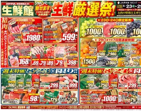 ジャパンミート チラシ