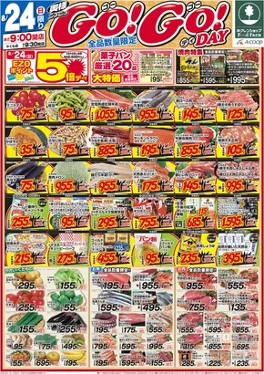 ホクレンショップのカタログ | 割引とプロモーション | 2025-08-24T00:00:00.000Z - 2025-08-25T00:00:00.000Z