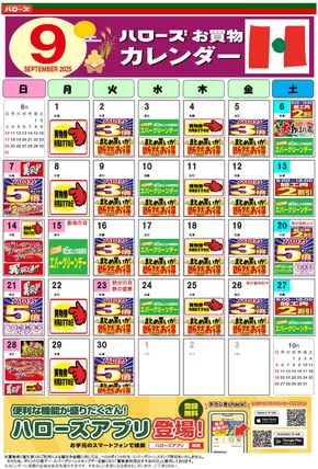 私たちの最高の掘り出し物