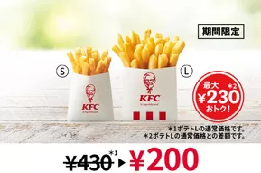 ケンタッキーフライドチキン チラシ