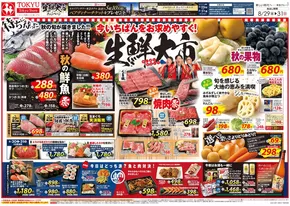 八王子市でのフレルさぎ沼のカタログ | 2025/08/29 | 2025-08-28T00:00:00.000Z - 2025-08-31T00:00:00.000Z