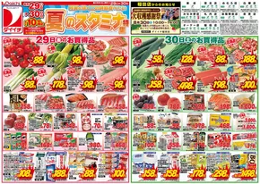 海老名市でのダイイチのカタログ | ダイイチ チラシ | 2025-08-29T00:00:00.000Z - 2025-08-30T00:00:00.000Z