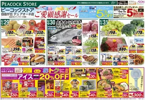 名古屋市でのピーコックストアのカタログ | 掘り出し物ハンターのための素晴らしいオファー | 2025-08-28T00:00:00.000Z - 2025-08-31T00:00:00.000Z