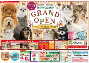 大阪市でのひごペットフレンドリーのカタログ | すべての掘り出し物ハンターのためのトップオファー | 2025-08-29T00:00:00.000Z - 2025-10-26T00:00:00.000Z