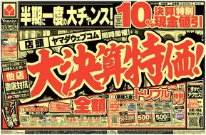 亀岡市でのヤマダ電機のカタログ | 現在の特別プロモーション | 2025-08-29T00:00:00.000Z - 2025-09-05T00:00:00.000Z