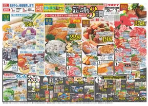 ウオエイ 最新チラシ