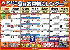 鹿嶋市でのセイミヤのカタログ | 私たちのお客様のための排他的な取引 | 2025-09-01T00:00:00.000Z - 2025-09-30T00:00:00.000Z