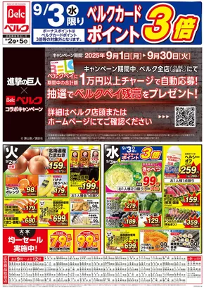佐倉市でのベルクのカタログ | ベルク チラシ | 2025-09-03T00:00:00.000Z - 2025-09-17T00:00:00.000Z