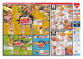 石巻市でのキューピットのカタログ | キューピット チラシ | 2025-09-03T00:00:00.000Z - 2025-09-17T00:00:00.000Z