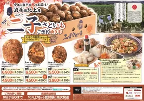盛岡市でのビッグハウスのカタログ | ビッグハウス チラシ | 2025-09-02T00:00:00.000Z - 2025-10-31T00:00:00.000Z