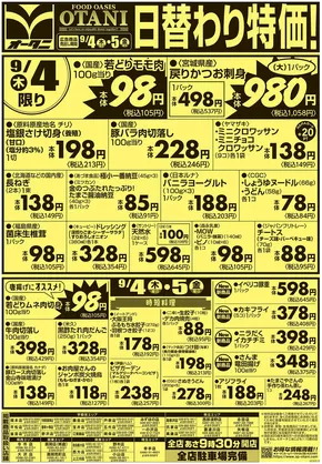 オータニ チラシ
