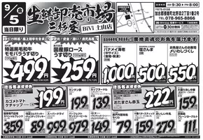 京都市での三杉屋のカタログ | 掘り出し物ハンターのためのオファー | 2025-09-05T00:00:00.000Z - 2025-09-19T00:00:00.000Z