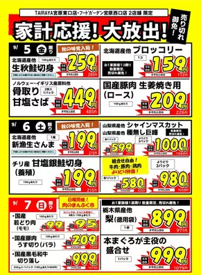 東京都での与野フードのカタログ | 掘り出し物ハンターのためのオファー | 2025-09-05T00:00:00.000Z - 2025-09-07T00:00:00.000Z
