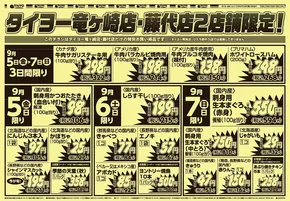 タイヨーのカタログ | 現在の掘り出し物とオファー | 2025-09-05T00:00:00.000Z - 2025-09-19T00:00:00.000Z