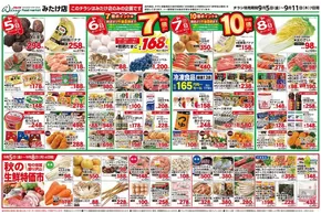 マルイチのカタログ | 9/5～9/11セール | 2025-09-05T00:00:00.000Z - 2025-09-08T00:00:00.000Z