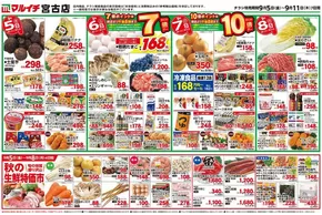マルイチのカタログ | すべてのお客様のためのトップディール | 2025-09-05T00:00:00.000Z - 2025-09-08T00:00:00.000Z