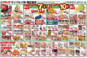マルイチのカタログ | 私たちのお客様のための排他的な取引 | 2025-09-05T00:00:00.000Z - 2025-09-08T00:00:00.000Z