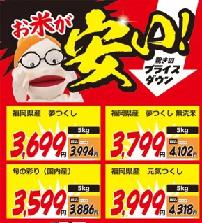 士別市での新生堂薬局のカタログ | 新生堂薬局 チラシ | 2025-09-05T00:00:00.000Z - 2025-09-19T00:00:00.000Z