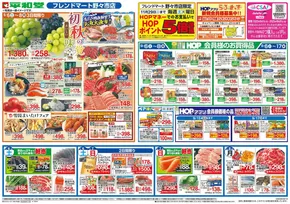 吹田市での平和堂のカタログ | 私たちの最高の掘り出し物 | 2025-09-05T00:00:00.000Z - 2025-09-10T00:00:00.000Z