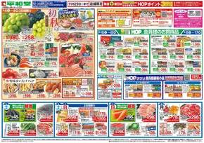 吹田市での平和堂のカタログ | 発見するための新しいオファー | 2025-09-05T00:00:00.000Z - 2025-09-09T00:00:00.000Z