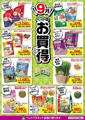 カンセキのカタログ | 現在の掘り出し物とオファー | 2025-09-08T00:00:00.000Z - 2025-09-22T00:00:00.000Z