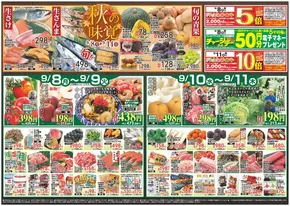 浜田市でのダイイチのカタログ | すべての掘り出し物ハンターのためのトップオファー | 2025-09-08T00:00:00.000Z - 2025-09-14T00:00:00.000Z