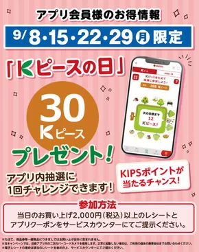 松原市での近商ストアのカタログ | 掘り出し物ハンターのための素晴らしいオファー | 2025-09-08T00:00:00.000Z - 2025-09-22T00:00:00.000Z