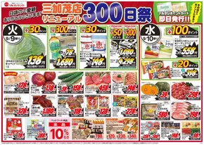 鳴門市でのマルヨシセンターのカタログ | 三加茂店リニューアル３００日祭 | 2025-09-08T00:00:00.000Z - 2025-09-14T00:00:00.000Z