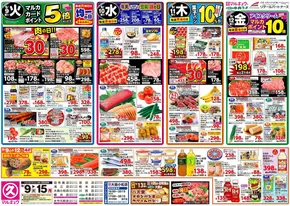 中央フードのカタログ | 豊富なオファーの選択 | 2025-09-09T00:00:00.000Z - 2025-09-15T00:00:00.000Z