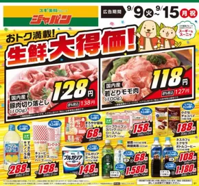 姫路市でのジャパンのカタログ | 掘り出し物ハンターのための素晴らしいオファー | 2025-09-09T00:00:00.000Z - 2025-09-15T00:00:00.000Z