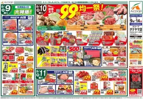 矢巾町でのAコープ東北のカタログ | 魅力的なオファーを発見する | 2025-09-09T00:00:00.000Z - 2025-09-14T00:00:00.000Z