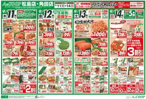 静岡市でのみやぎ生活協同組合のカタログ | 私たちの最高の掘り出し物 | 2025-09-11T00:00:00.000Z - 2025-09-14T00:00:00.000Z