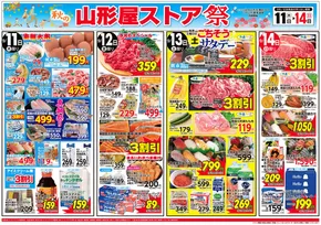 姶良市での山形屋ストアのカタログ | 期間：9月11日（木）～14日（日） | 2025-09-11T00:00:00.000Z - 2025-09-25T00:00:00.000Z