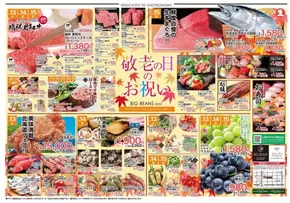 習志野市でのビッグビーンズのカタログ | ウェスト本店 | 2025-09-11T00:00:00.000Z - 2025-09-25T00:00:00.000Z