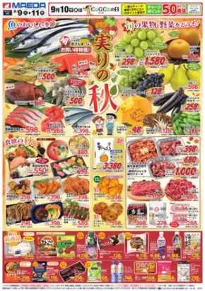 マエダのカタログ | 現在の取引とオファー | 2025-09-11T00:00:00.000Z - 2025-09-25T00:00:00.000Z