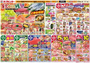 カブセンターのカタログ | 排他的な取引と掘り出し物 | 2025-09-11T00:00:00.000Z - 2025-09-15T00:00:00.000Z