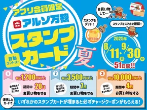 アルゾのカタログ | 私たちの最高の掘り出し物 | 2025-09-12T00:00:00.000Z - 2025-09-26T00:00:00.000Z