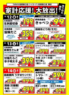 さいたま市でのたいらやのカタログ | すべての掘り出し物ハンターのためのトップオファー | 2025-09-12T00:00:00.000Z - 2025-09-26T00:00:00.000Z