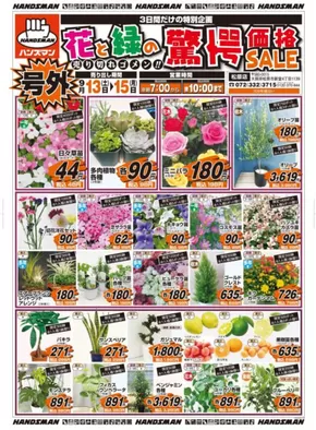 ハンズマンのカタログ | 花と緑の驚愕価格SALE | 2025-09-13T00:00:00.000Z - 2025-09-15T00:00:00.000Z