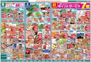 リオンドールのカタログ | リオンドール チラシ | 2025-09-12T00:00:00.000Z - 2025-09-15T00:00:00.000Z