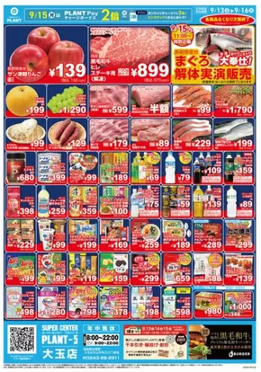 スーパーセンタープラント チラシ