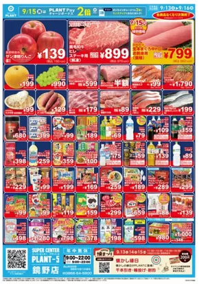 スーパーセンタープラントのカタログ | 豊富なオファーの選択 | 2025-09-13T00:00:00.000Z - 2025-09-16T00:00:00.000Z