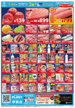 スーパーセンタープラントのカタログ | 私たちのお客様のための排他的な取引 | 2025-09-13T00:00:00.000Z - 2025-09-16T00:00:00.000Z