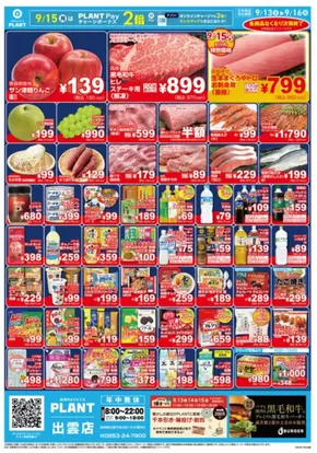 スーパーセンタープラントのカタログ | 排他的な取引と掘り出し物 | 2025-09-13T00:00:00.000Z - 2025-09-16T00:00:00.000Z