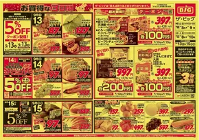 ザ・ビッグのカタログ | あなたのための私たちの最高の取引 | 2025-09-13T00:00:00.000Z - 2025-09-15T00:00:00.000Z