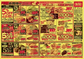 ザ・ビッグのカタログ | 私たちのお客様のための排他的な取引 | 2025-09-13T00:00:00.000Z - 2025-09-15T00:00:00.000Z