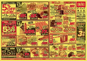 ザ・ビッグのカタログ | 掘り出し物ハンターのためのオファー | 2025-09-13T00:00:00.000Z - 2025-09-15T00:00:00.000Z
