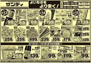 サンディのカタログ | 掘り出し物ハンターのためのオファー | 2025-09-13T00:00:00.000Z - 2025-09-27T00:00:00.000Z