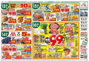 エーコープ関東のカタログ | 選ばれた製品の素晴らしい割引 | 2025-09-13T00:00:00.000Z - 2025-09-16T00:00:00.000Z